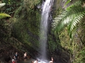 El Yunque National Forest - Waterfall